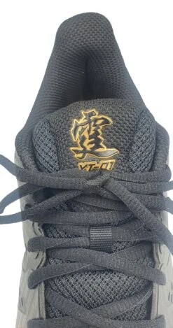 Badminton Shoes - Yun Ting Black -Badminton Gear Shop AYAS028 1 D